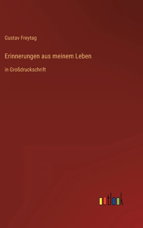 Erinnerungen aus meinem Leben: in Großdruckschrift
