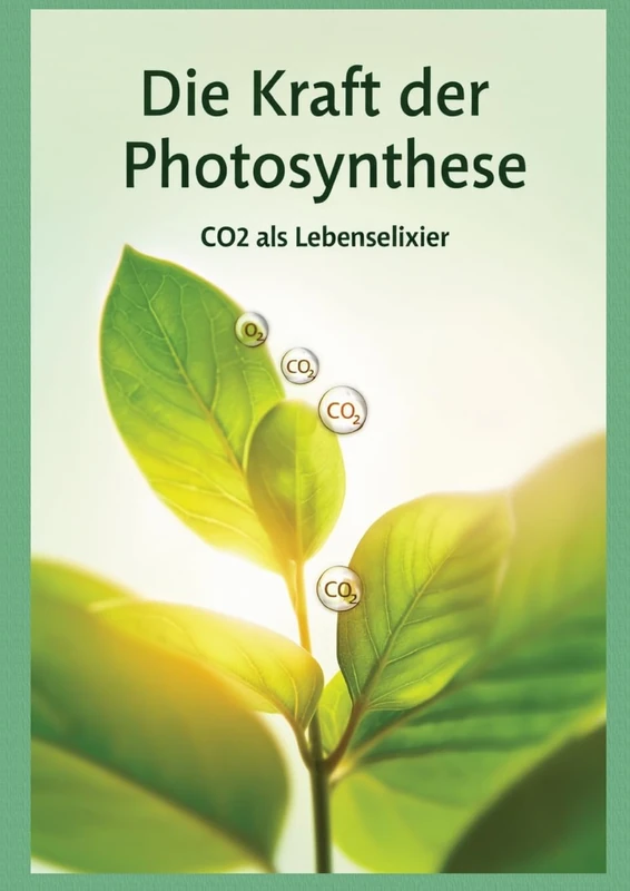 Die Kraft der Photosynthese: CO2 als Lebenselexier - Image 1