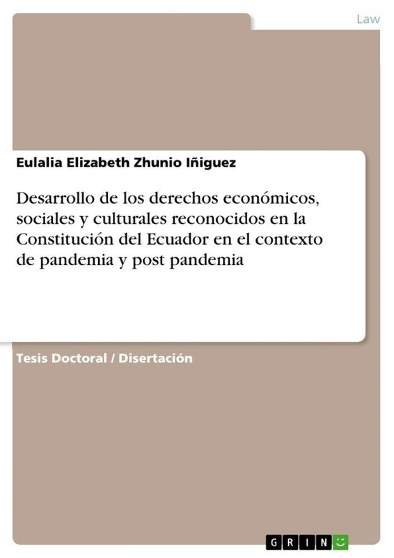 Desarrollo de los derechos económicos, sociales y culturales reconocidos en la Constitución del Ecuador en el contexto de pandemia y post pandemia - Image 1