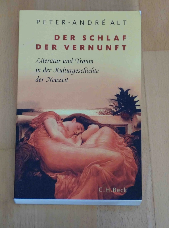 Der Schlaf der Vernunft