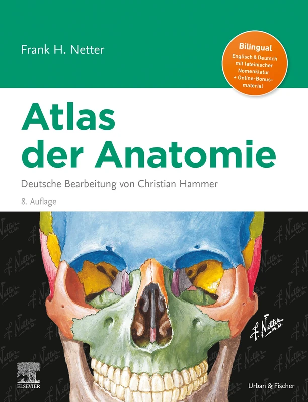 Netter Atlas der Anatomie: Deutsche Bearbeitung von Christian Hammer (VORKLINIK - Lehrbuch - Urban & Fischer-Verlag) - Image 1