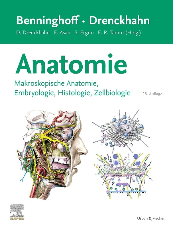Benninghoff/Drenckhahn, Anatomie: Makroskopische Anatomie, Histologie, Embryologie, Zellbiologie (VORKLINIK - Lehrbuch - Urban & Fischer-Verlag)