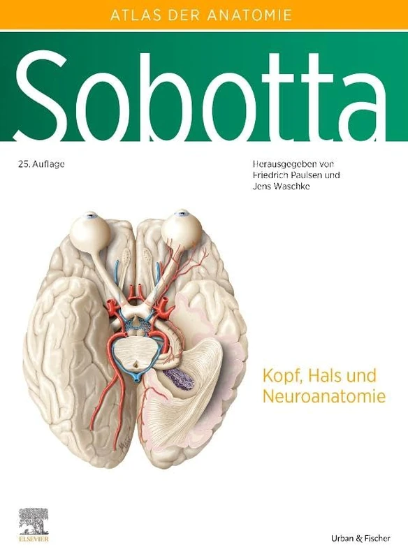 Sobotta, Atlas der Anatomie des Menschen Band 3: Kopf, Hals und Neuroanatomie (VORKLINIK - Lehrbuch - Urban & Fischer-Verlag)