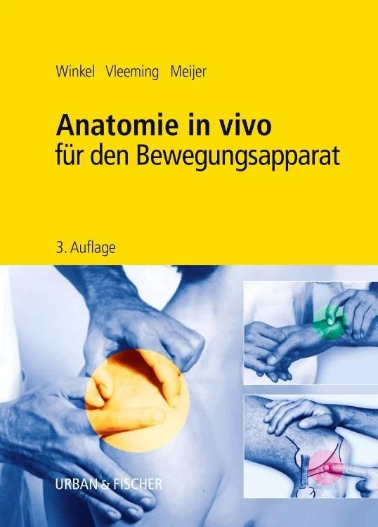 Anatomie in vivo für den Bewegungsapparat - Image 1