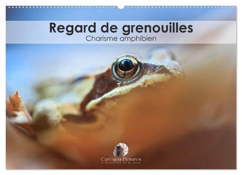 Regard de Grenouilles - Charisme amphibien (Calendrier mural 2025 DIN A2 vertical), CALVENDO calendrier mensuel: Plongez dans l'univers captivant des ... et la personnalité unique des grenouilles.