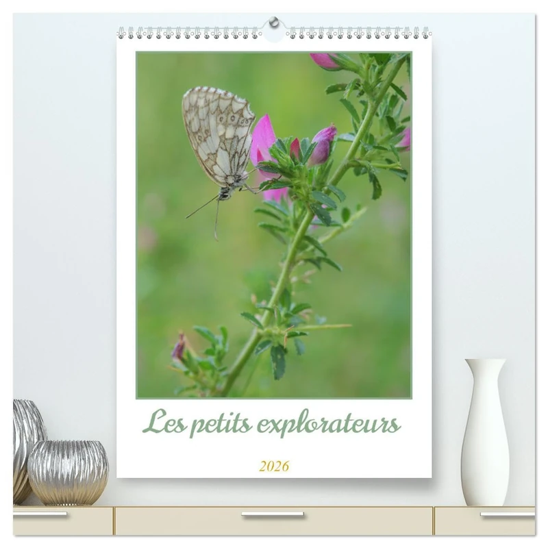 Les petits explorateurs (Calendrier mural 2026 DIN A2 horizontal) calendrier de bureau: Découvrez la magie des insectes !