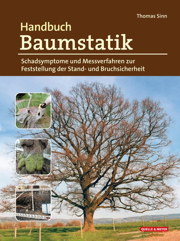 Handbuch Baumstatik: Schadsymptome und Messverfahren zur Feststellung der Stand- und Bruchsicherheit