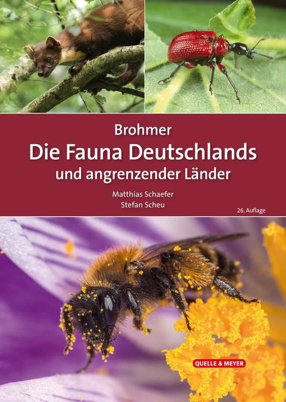 Brohmer - Die Fauna Deutschlands und angrenzender Länder: Ein Bestimmungsbuch unserer heimischen Tierwelt - Image 1