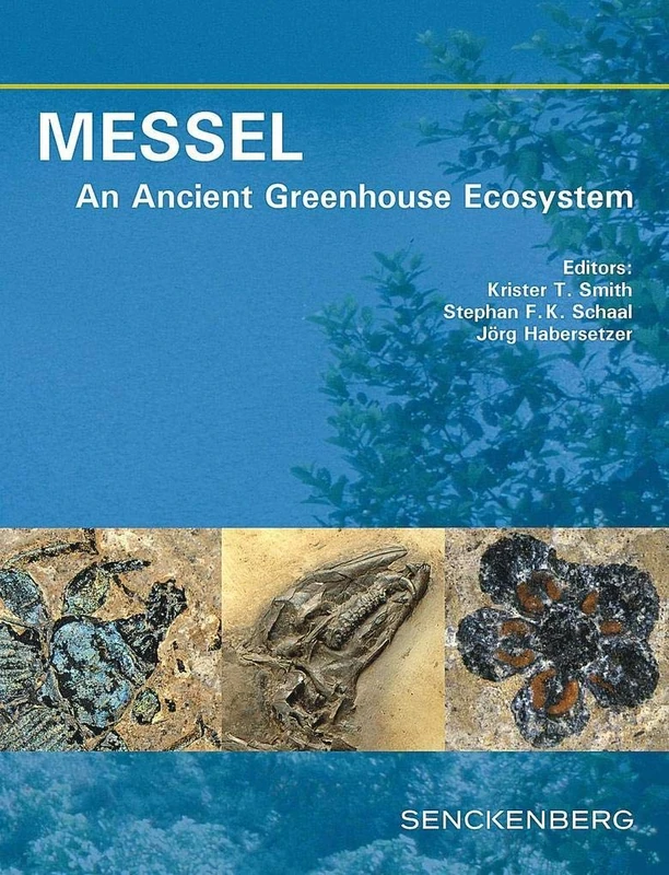 MESSEL - An Ancient Greenhouse Ecosystem - Image 1