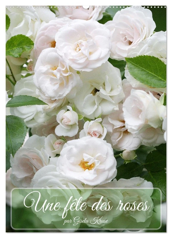 Une fête des roses (Calendrier mural 2026 DIN A2 horizontal), CALVENDO calendrier mensuel: La floraison des roses est toujours un festival pour les sens