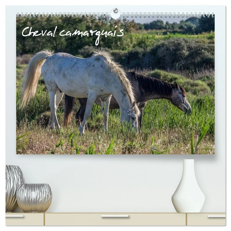 Cheval camarguais (Calendrier mural 2026 DIN A2 vertical) calendrier de bureau: La beauté du cheval semi-sauvage