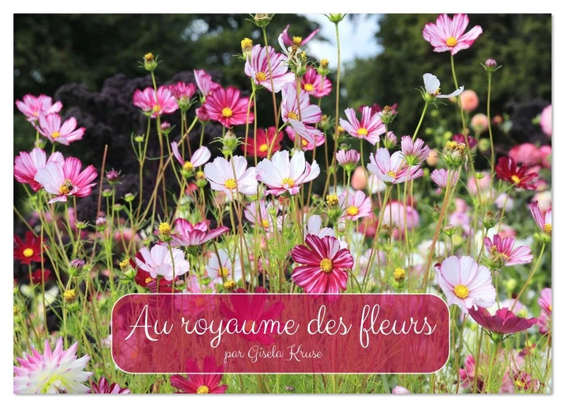 Au royaume des fleurs (Calendrier mural 2026 DIN A2 vertical), CALVENDO calendrier mensuel: Des fleurs joyeuses et des prairies fleuries multicolores - Image 1