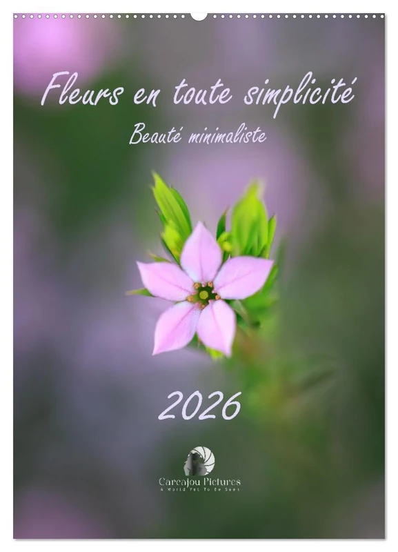 Fleurs en toute simplicité - Beauté minimaliste (Calendrier mural 2026 DIN A2 horizontal), CALVENDO calendrier mensuel: Un calendrier délicat et ... pour douze mois de beauté minimaliste. - Image 1