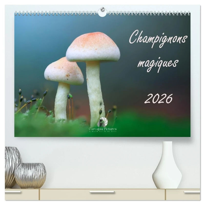 Champignons magiques (Calendrier mural 2026 DIN A2 vertical) calendrier de bureau: Un calendrier fascinant qui met en lumière, mois après mois, la diversité et la beauté mystérieuse des champignons.