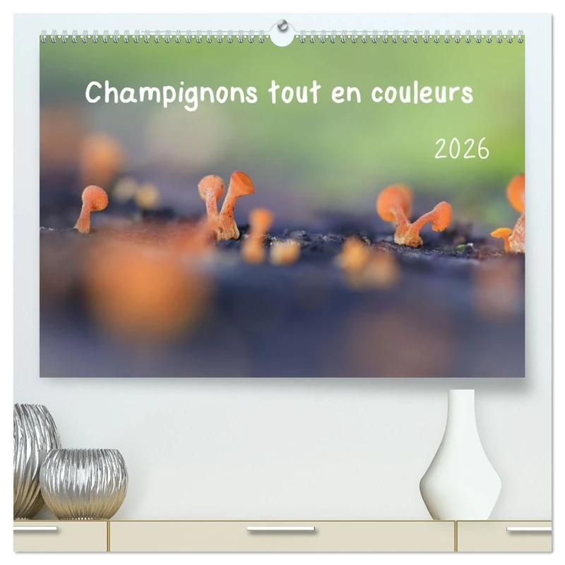 Champignons tout en couleurs (Calendrier mural 2026 DIN A2 vertical) calendrier de bureau: À la découverte des champignons aux couleurs éclatantes
