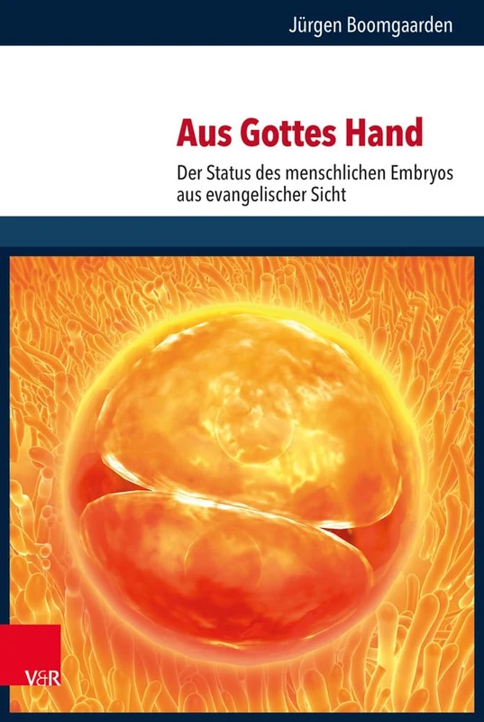Aus Gottes Hand: Der Status des menschlichen Embryos aus evangelischer Sicht (Religion, Theologie und Naturwissenschaft / Religion, Theology, and Natural Science - Band 032): 32