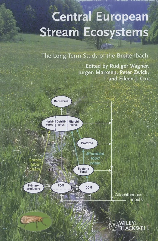 Central European Stream Ecosystems: The Long Term Study of the Breitenbach - Image 1