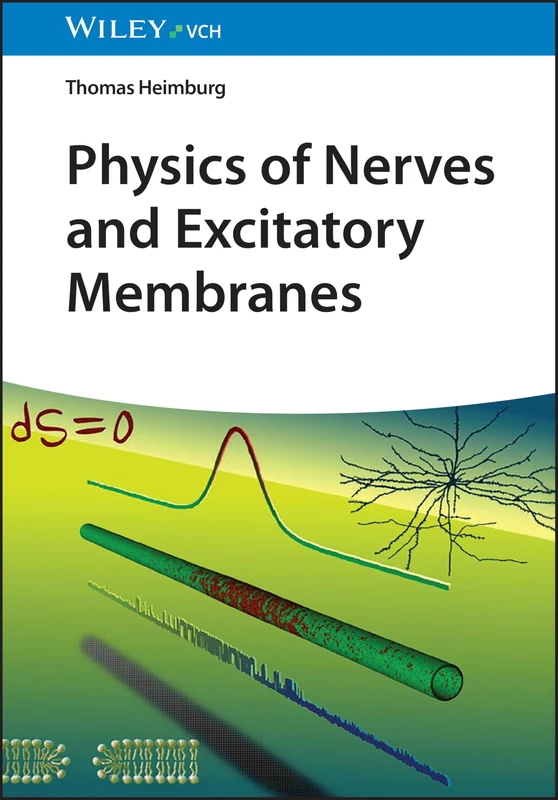 Physics of Nerves and Excitatory Membranes