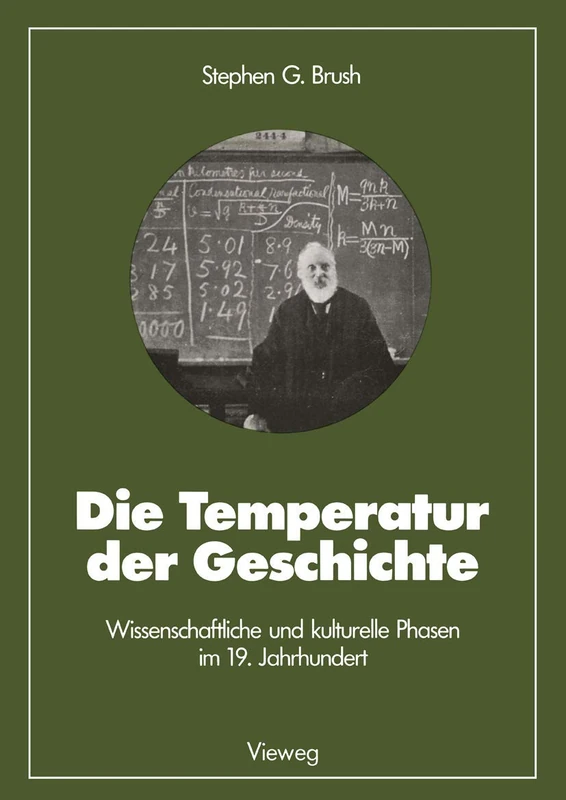 Die Temperatur der Geschichte: Wissenschaftliche und kulturelle Phasen im 19. Jahrhundert: 24 (Facetten der Physik, 24)