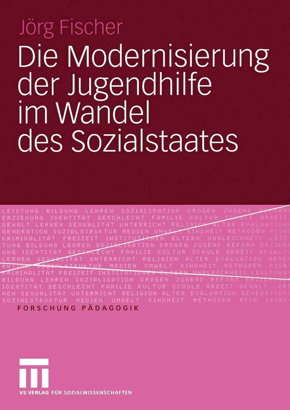 Die Modernisierung der Jugendhilfe im Wandel des Sozialstaates (Forschung Pädagogik)