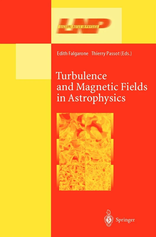 Turbulence and Magnetic Fields in Astrophysics: 614 (Lecture Notes in Physics, 614)
