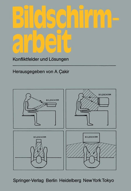 Bildschirmarbeit: Konfliktfelder und Lösungen (Informationstechnik und Datenverarbeitung)