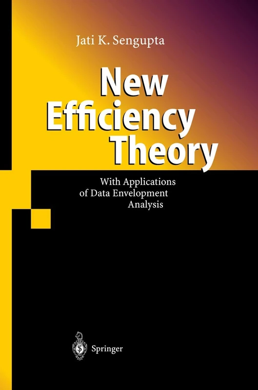 New Efficiency Theory: With Applications of Data Envelopment Analysis