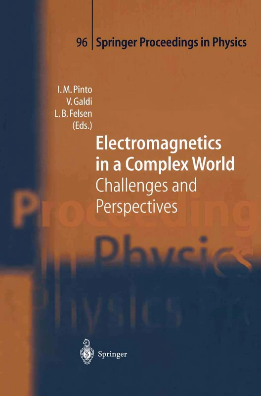 Electromagnetics in a Complex World: Challenges and Perspectives: 96 (Springer Proceedings in Physics, 96)