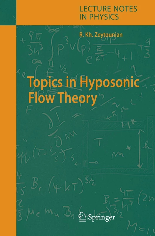 Topics in Hyposonic Flow Theory: 672 (Lecture Notes in Physics, 672)