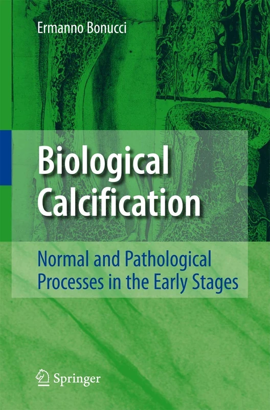 Biological Calcification: Normal and Pathological Processes in the Early Stages