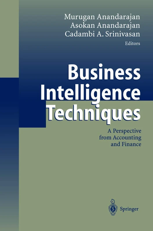 Business Intelligence Techniques: A Perspective from Accounting and Finance