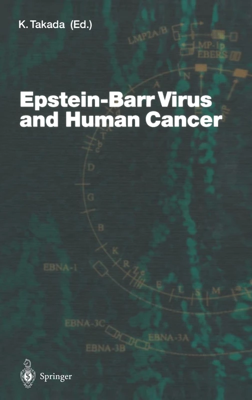 Epstein-Barr Virus and Human Cancer: v.258 (Current Topics in Microbiology and Immunology)