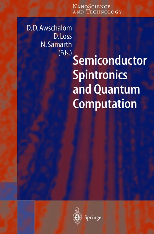 Semiconductor Spintronics and Quantum Computation (NanoScience and Technology)