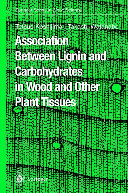 Association Between Lignin and Carbohydrates in Wood and Other Plant Tissues (Springer Series in Wood Science)