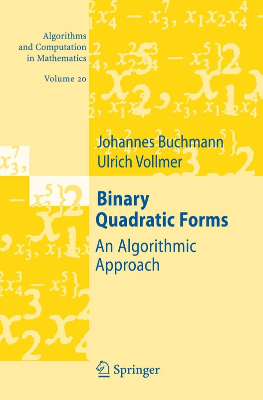 Binary Quadratic Forms: An Algorithmic Approach: 20 (Algorithms and Computation in Mathematics, 20)