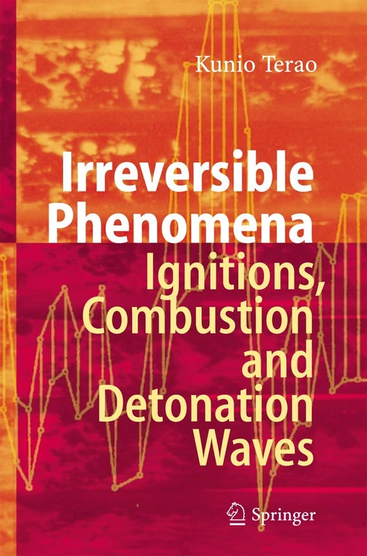 Springer - Irreversible Phenomena: Ignitions and Combustion - Image 1