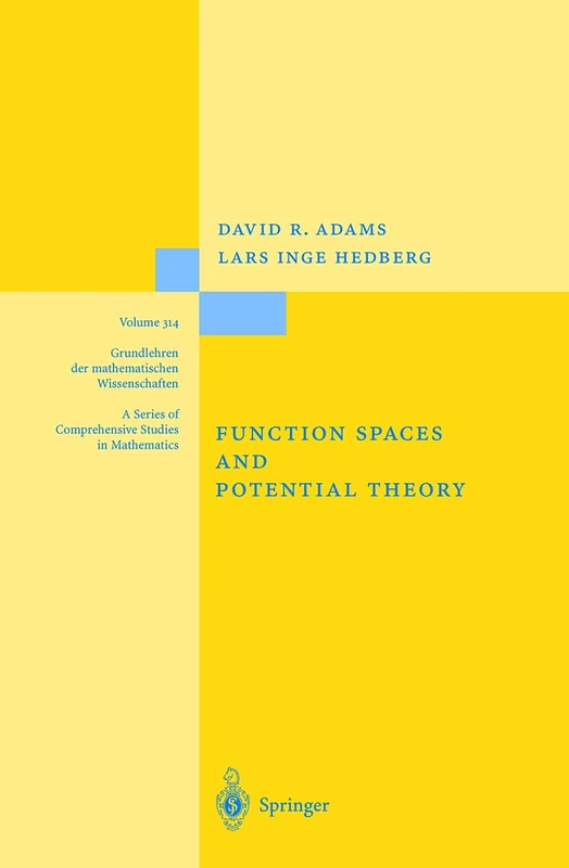 Function Spaces and Potential Theory: 314 (Grundlehren der mathematischen Wissenschaften, 314)