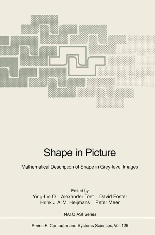 Shape in Picture: Mathematical Description of Shape in Grey-level Images: 126 (NATO ASI Subseries F:, 126)