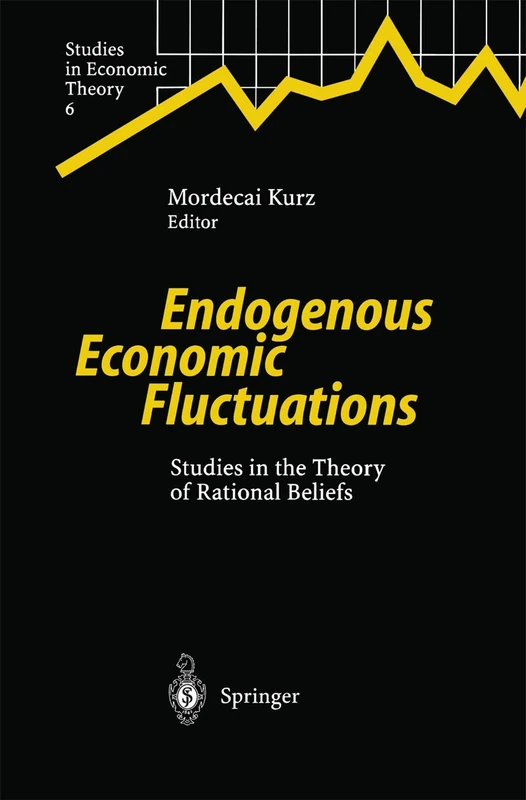 Endogenous Economic Fluctuations: Studies in the Theory of Rational Beliefs: 6 (Studies in Economic Theory, 6)