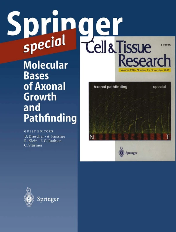 Molecular Bases of Axonal Growth and Pathfinding (Springer Special)