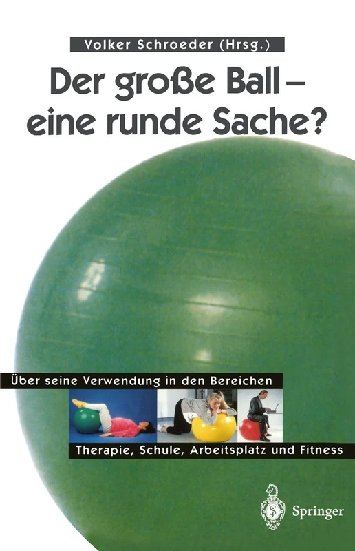 Der große Ball ― eine runde Sache?: Über seine Verwendung in den Bereichen Therapie, Schule, Arbeitsplatz und Fitness - Image 1