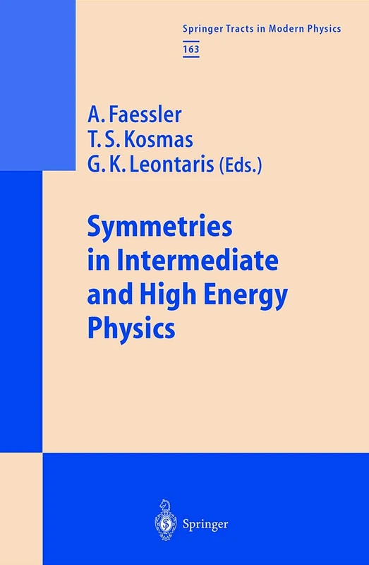 Symmetries in Intermediate and High Energy Physics: 163 (Springer Tracts in Modern Physics, 163)