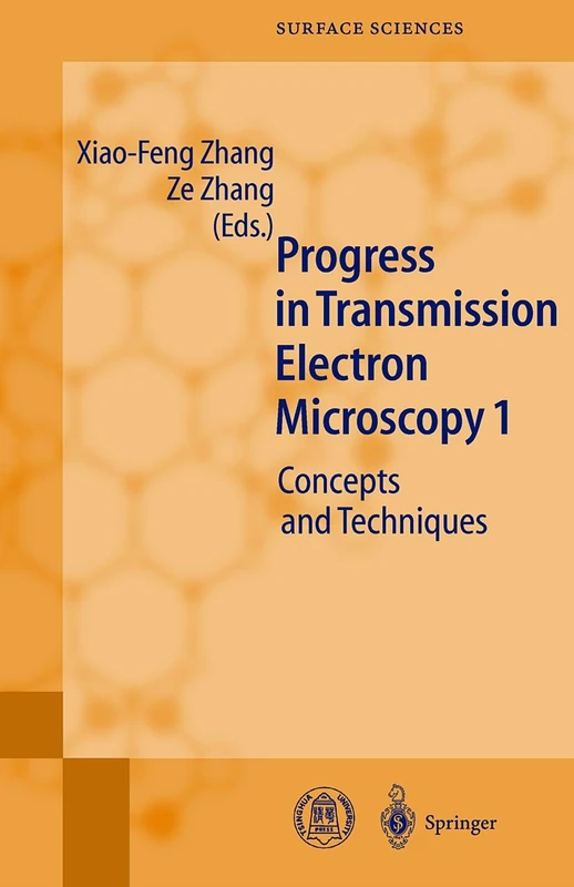Progress in Transmission Electron Microscopy 1: Concepts and Techniques: 38 (Springer Series in Surface Sciences, 38)