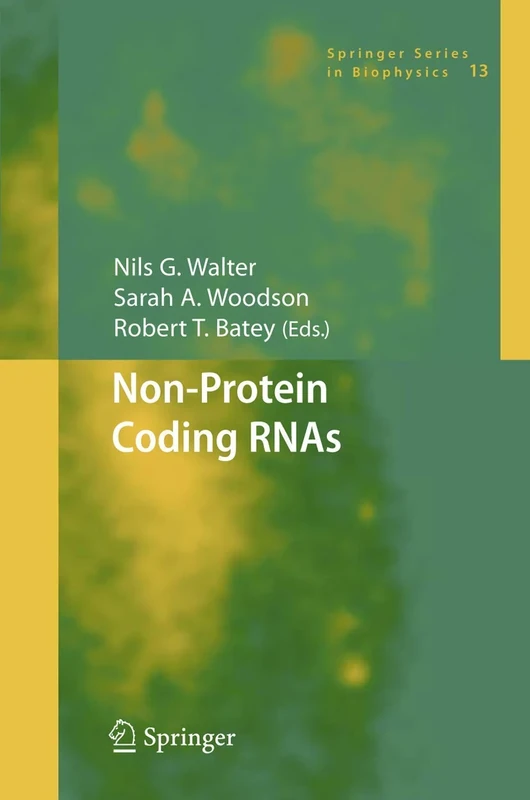 Non-Protein Coding RNAs: 13 (Springer Series in Biophysics, 13)