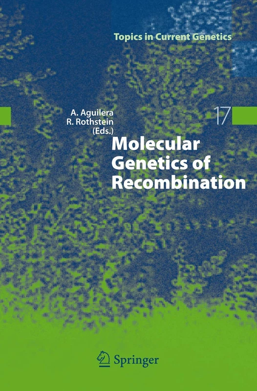 Molecular Genetics of Recombination: 17 (Topics in Current Genetics, 17)