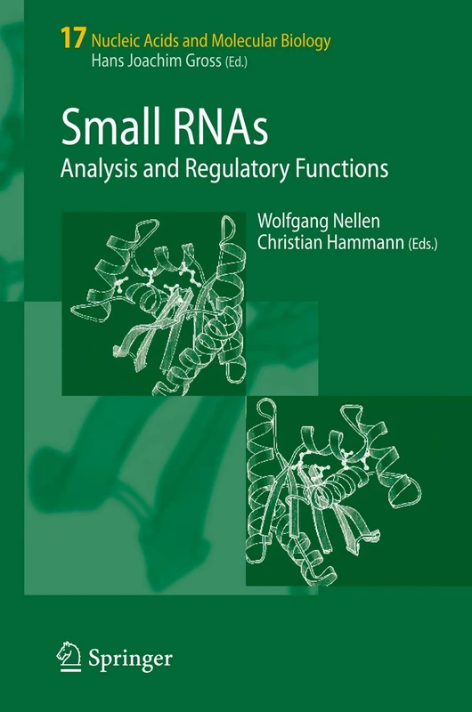Small RNAs:: Analysis and Regulatory Functions: 17 (Nucleic Acids and Molecular Biology, 17)