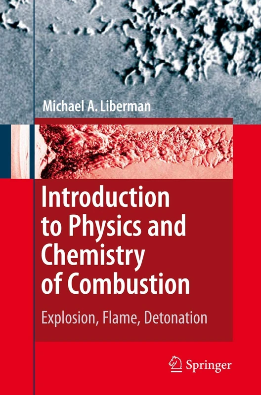Introduction to Physics and Chemistry of Combustion: Explosion, Flame, Detonation - Image 1