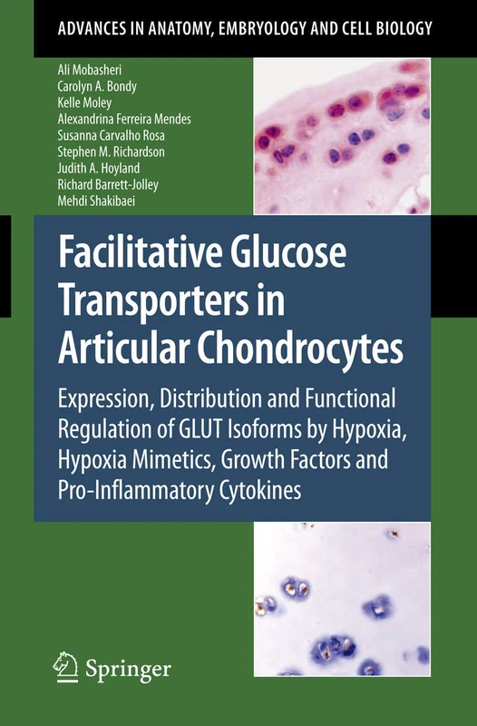 Facilitative Glucose Transporters in Articular Chondrocytes: Expression, Distribution and Functional Regulation of GLUT Isoforms by Hypoxia, Hypoxia ... in Anatomy, Embryology and Cell Biology, 200) - Image 1