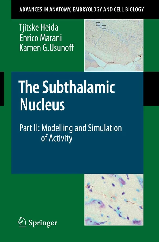 The Subthalamic Nucleus: Part II: Modelling and Simulation of Activity: 199 (Advances in Anatomy, Embryology and Cell Biology, 199)