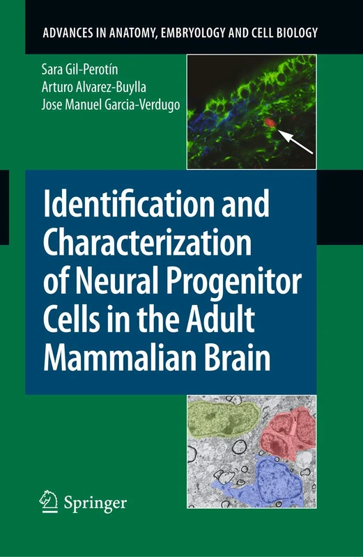 Identification and Characterization of Neural Progenitor Cells in the Adult Mammalian Brain: 203 (Advances in Anatomy, Embryology and Cell Biology, 203)